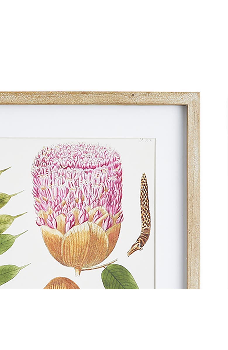 Napa Home & Garden Leaf Botanical Study Set of 6, Alternate, color, 