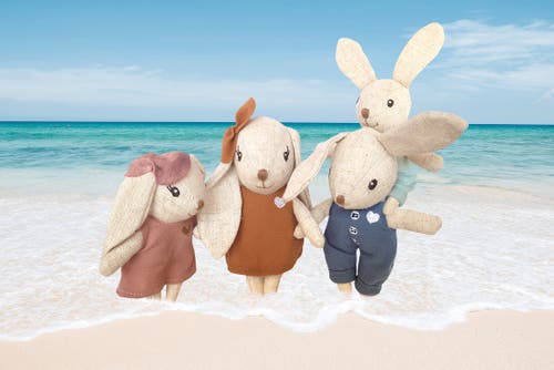 Speedy Monkey Rabbit Family In Multi