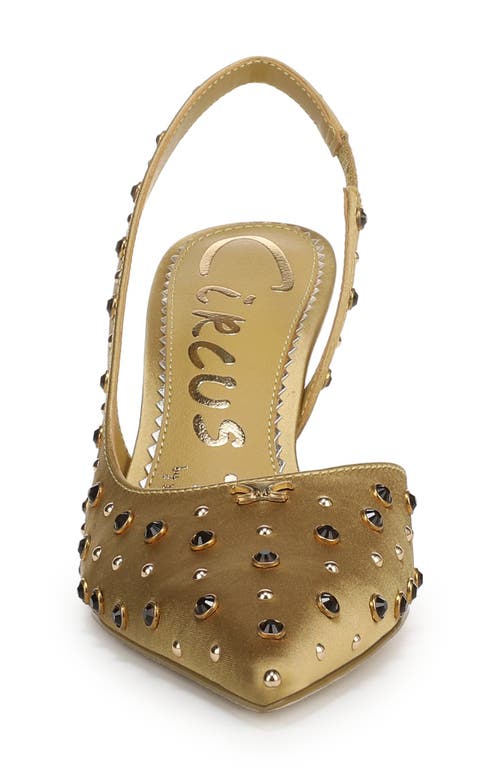 Circus Ny By Sam Edelman Tallie Pointed Toe Slingback Pump In Yellow