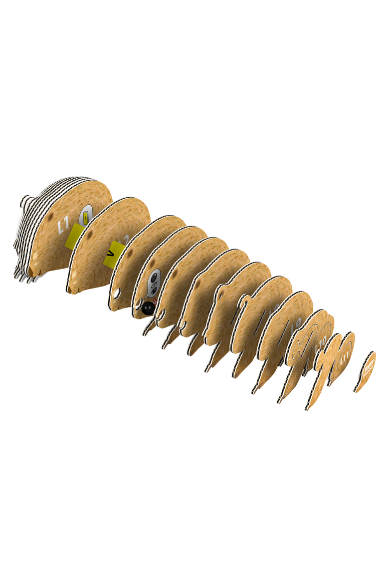 Wombat 3D Puzzle, Alternate, color, No Color