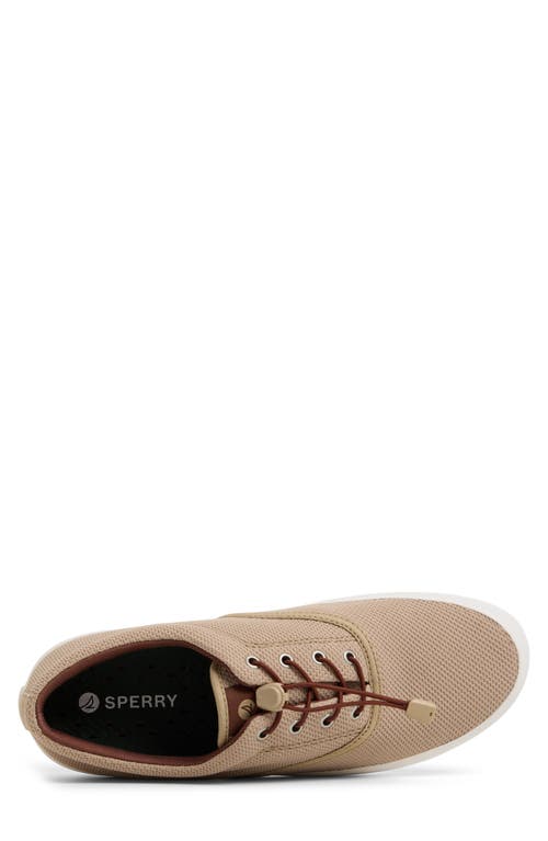 Sperry Fairlead Cvo Sneaker In Tan