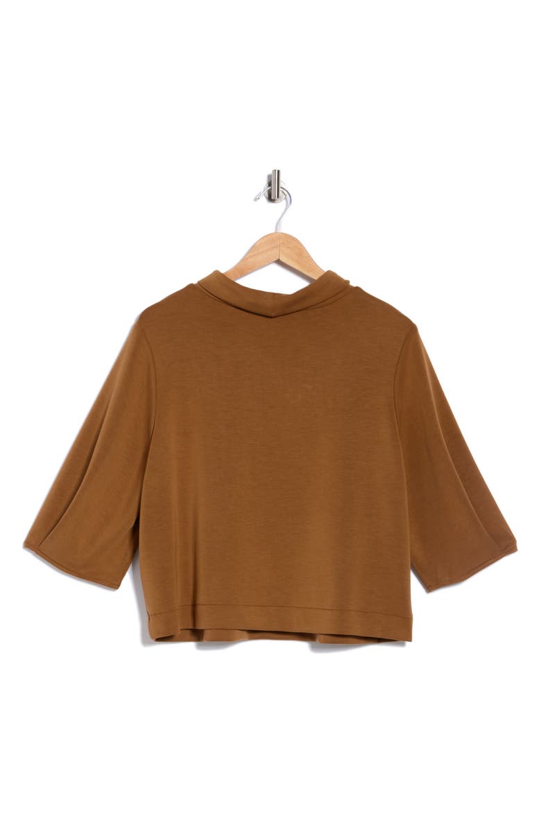 Democracy Mock Neck Crop Top, Alternate, color, Nutmeg