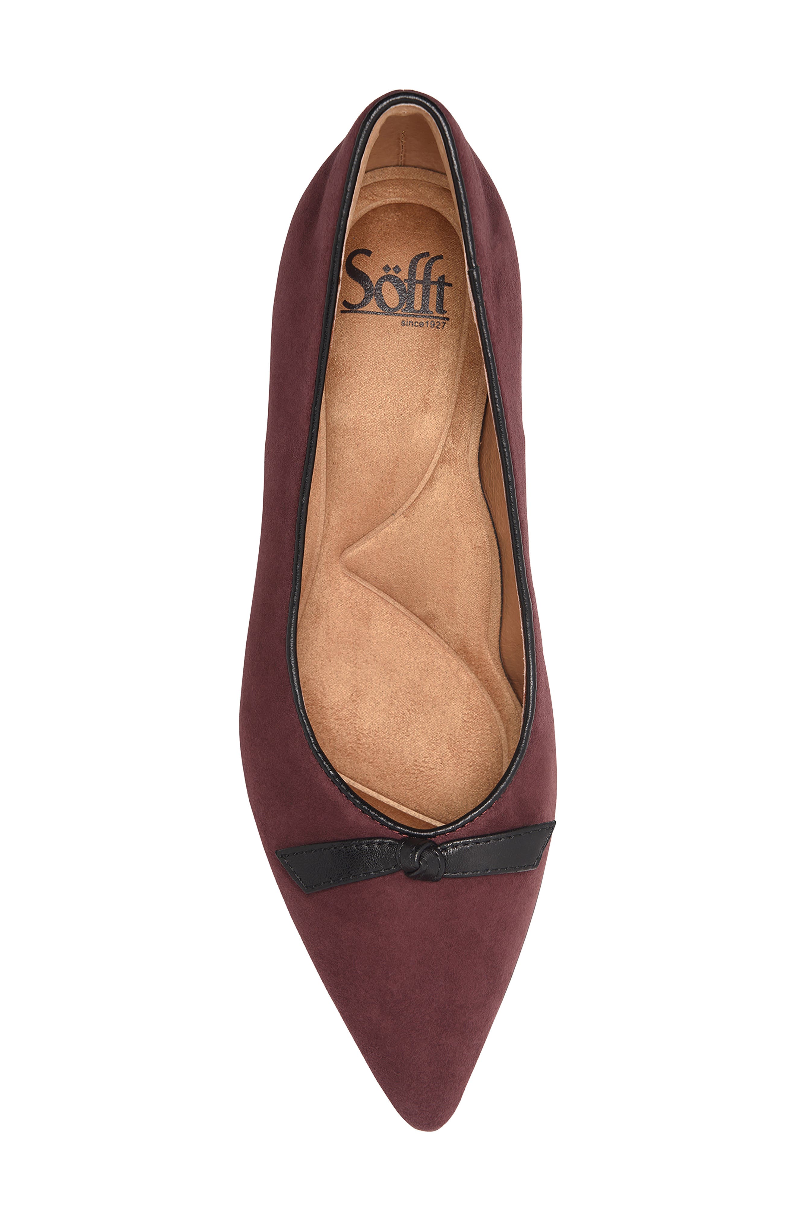 Shannon Pointed Toe Pump, Alternate, color, BURGUNDY