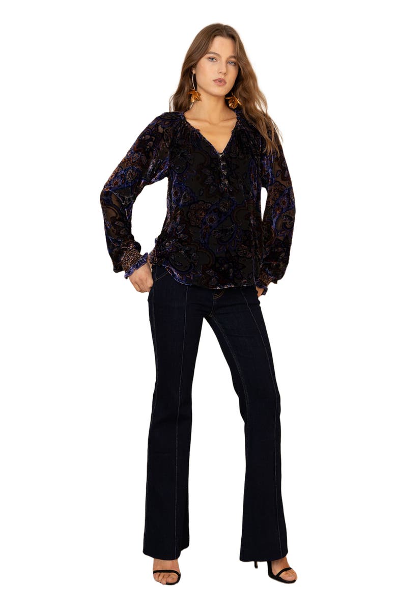 Hale Bob Elyse Velvet Top, Alternate, color, 