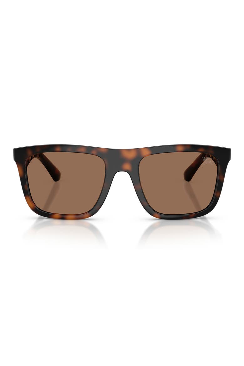 55mm Square Sunglasses, Main, color, DARK HAVANA