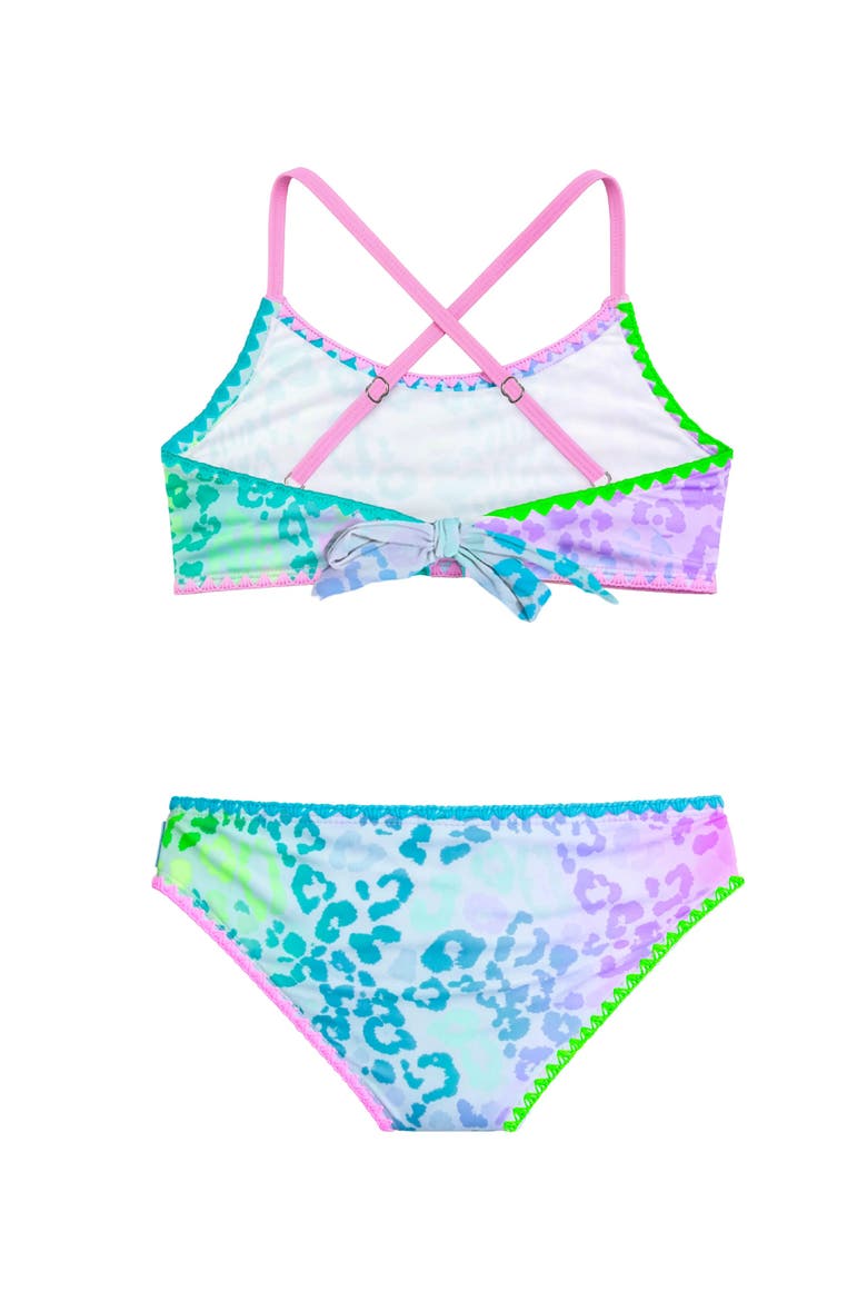 Leopard Print Bikini with Embroidered Trim, Alternate, color, Pink Multi