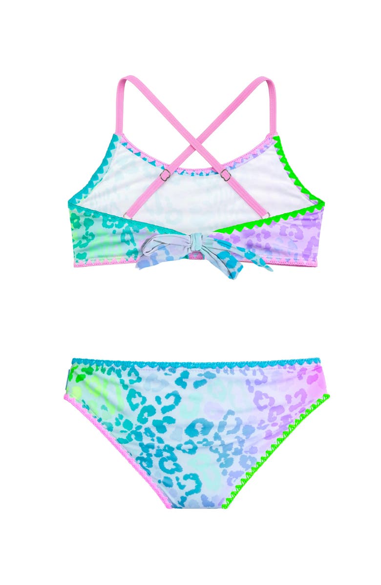 Limeapple Leopard Print Bikini with Embroidered Trim, Alternate, color, Pink Multi