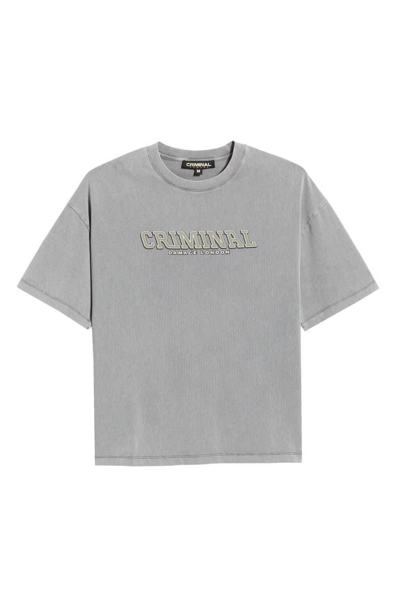 CRIMINAL DAMAGE Statute Graphic T-Shirt, Main, color, Grey