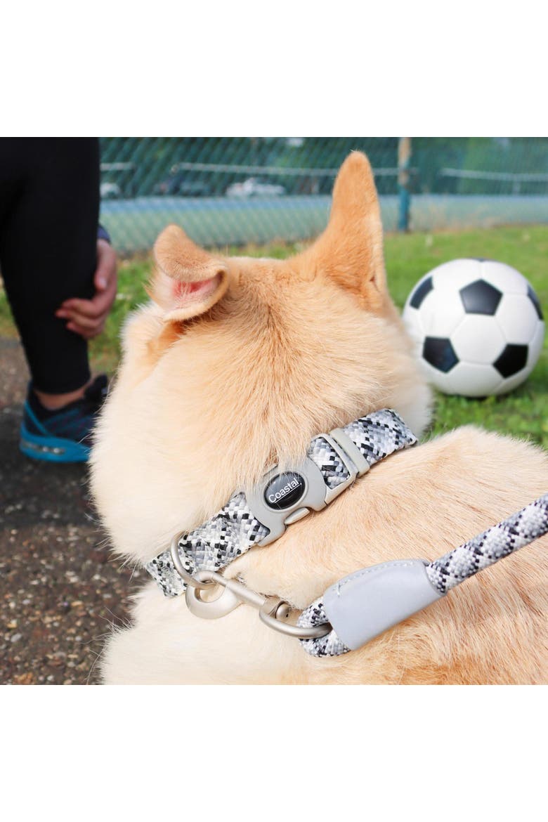 Active Woven Reflective Dog Rope Leash, Grey Scale, 6 Feet, Alternate, color, Gray