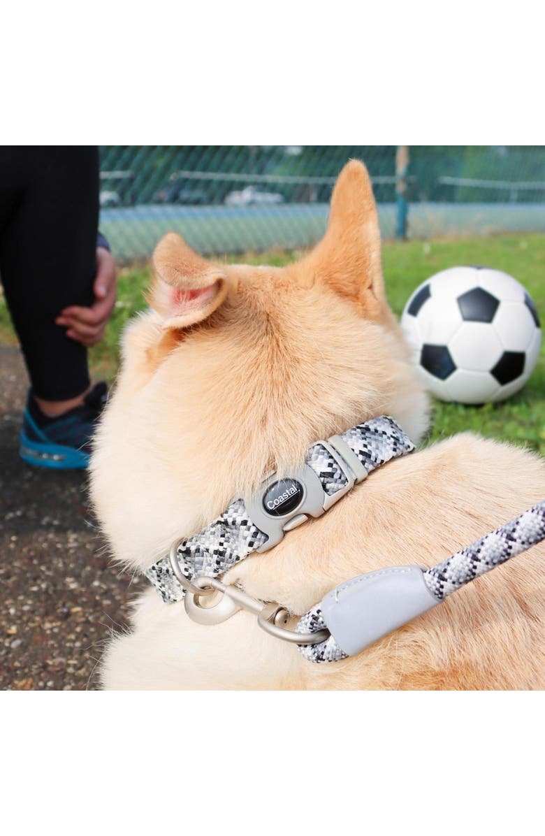 Pro Active Woven Reflective Dog Rope Leash, Grey Scale, 6 Feet, Alternate, color, Gray