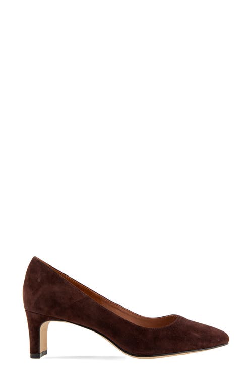 Andre Assous André Assous Wynne Pointed Toe Pump In Cocoa Powder