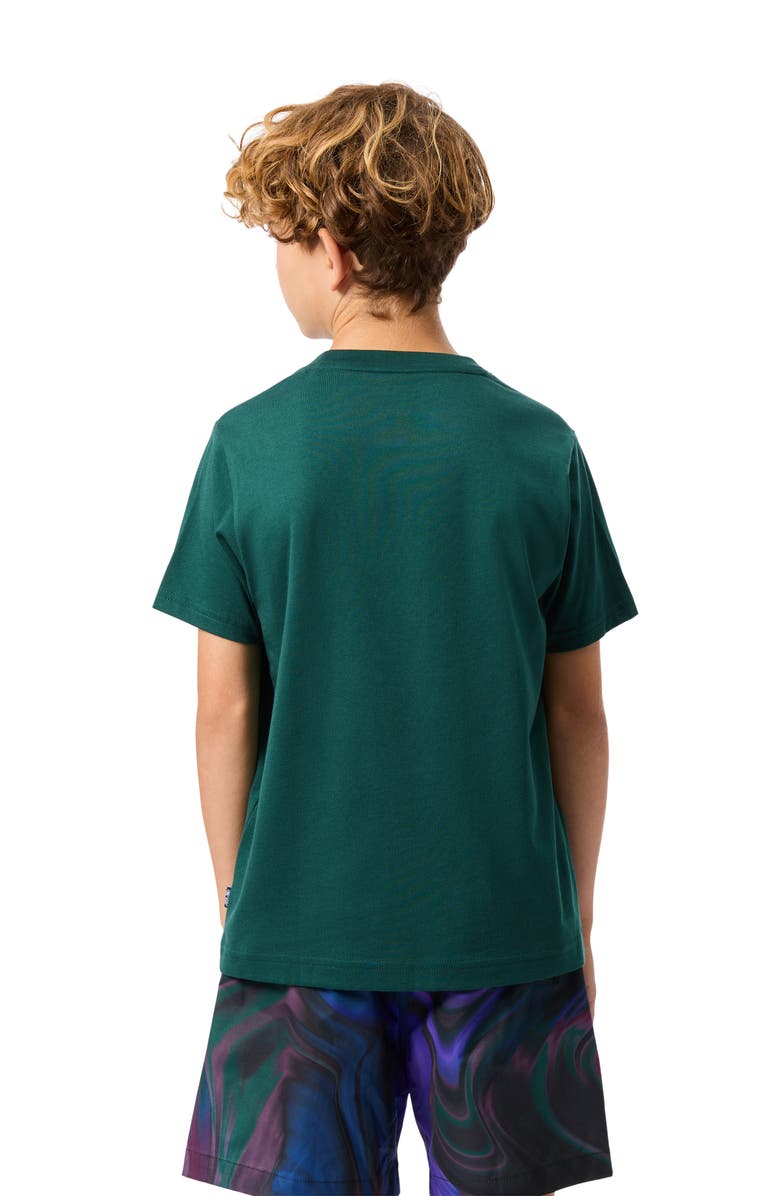 Psycho Bunny Kids' Hamilton Cotton Graphic T-Shirt, Alternate, color, Sea Moss