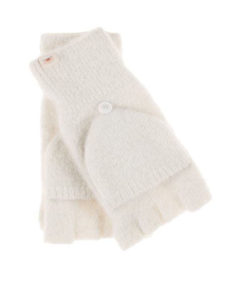 Northern Lights Mitten