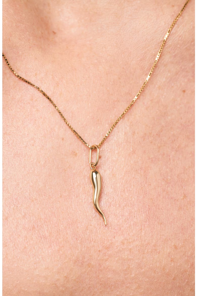 Solid Yellow Gold - Italian Horn Charm Necklace, Alternate, color, Gold
