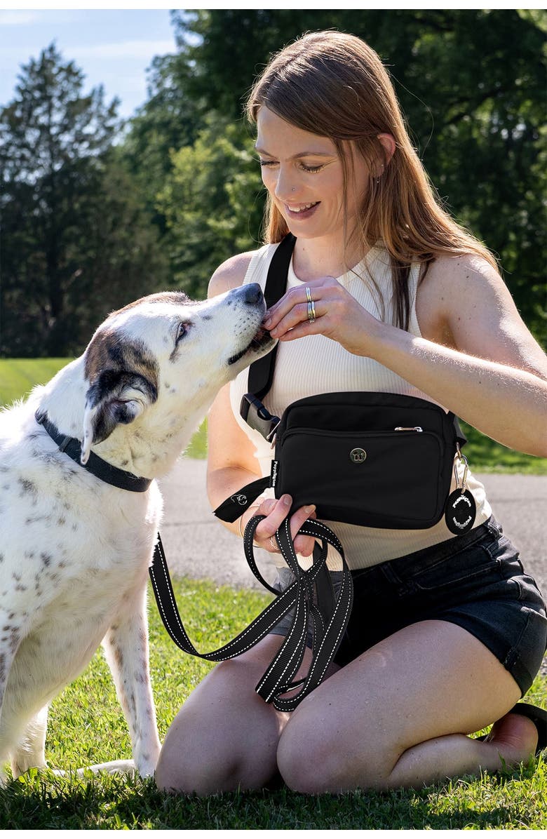 Puppington Reflective Leash, Alternate, color, 