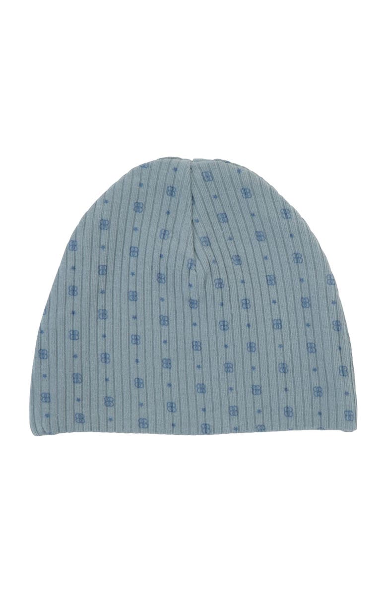 NoggiWear Printed Ribbed Beanie, Alternate, color, 