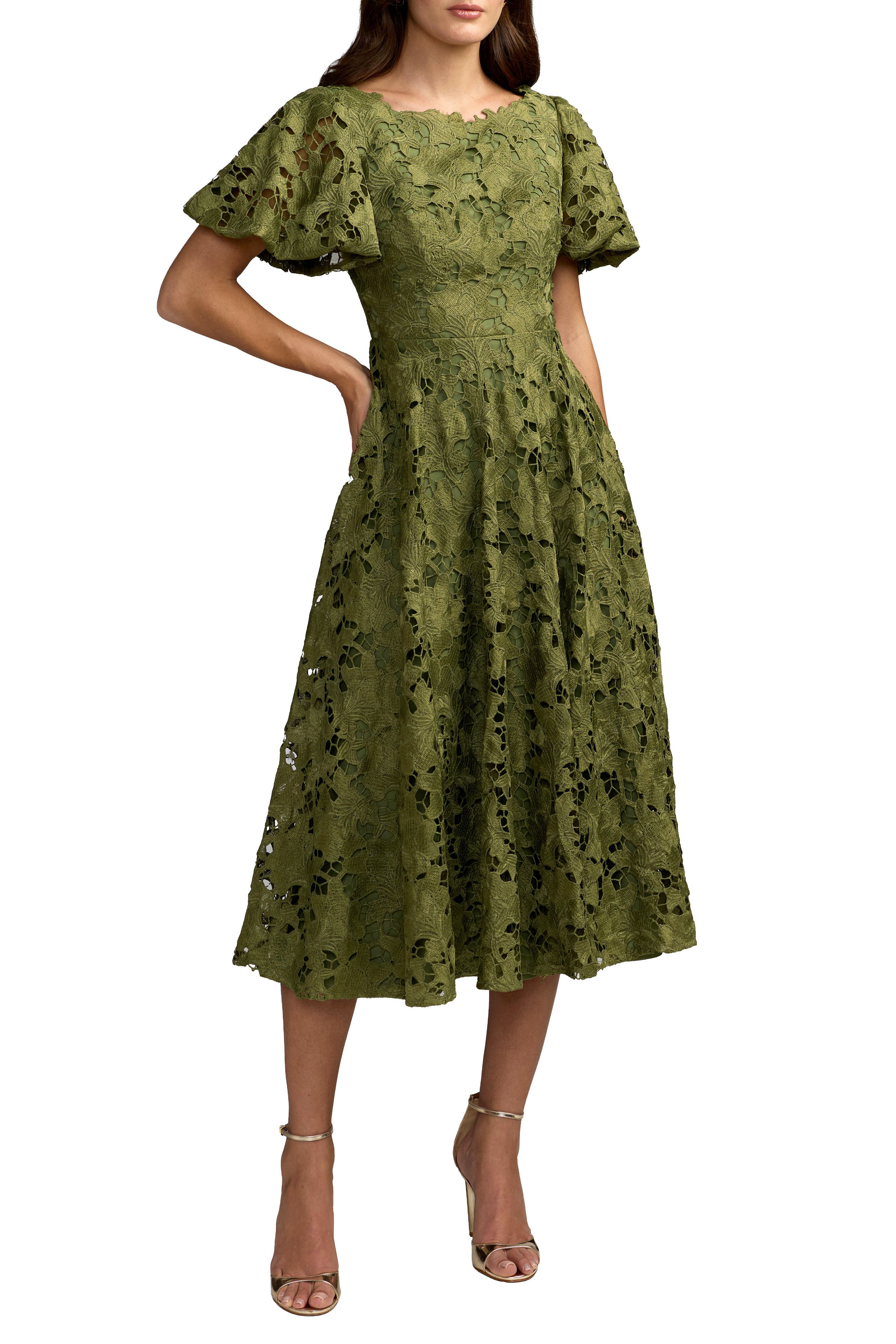 selected Olive