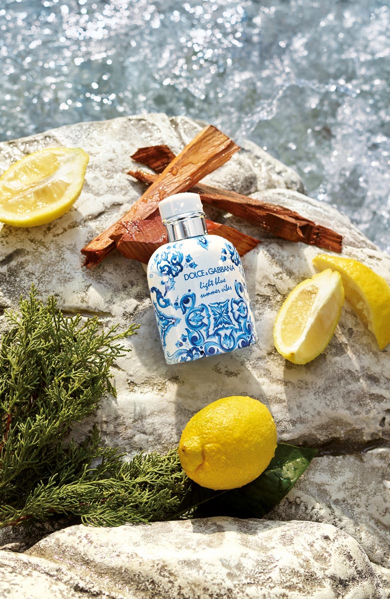 Dolce&Gabbana Light Blue Summer Vibes Pour Homme Eau de Toilette, Alternate, color,