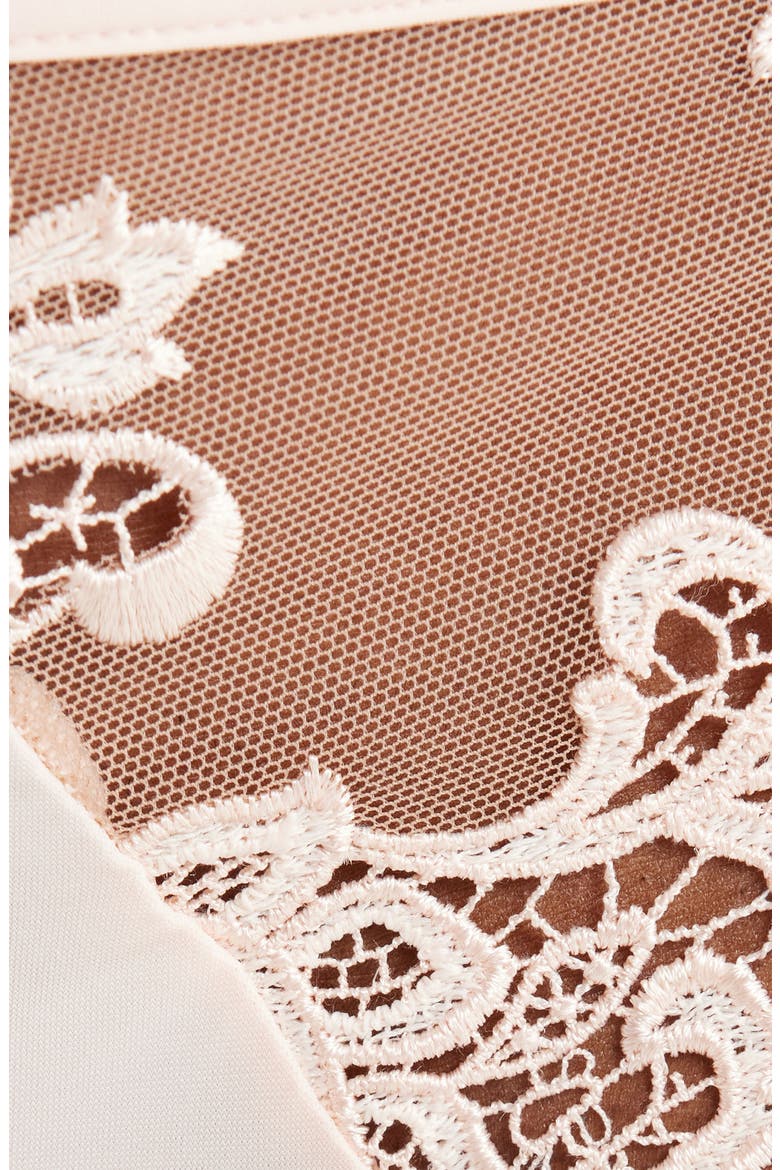 Saga Embroidered Bikini, Alternate, color, PINK BEIGE