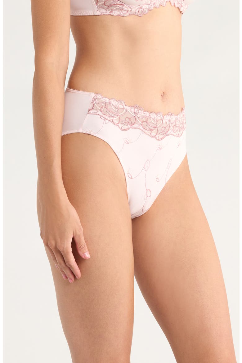 Diva Embroidered Briefs, Alternate, color, LILAC