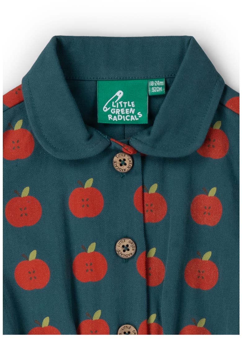Kids' Apple Print Organic Cotton Dress, Alternate, color, BLUE