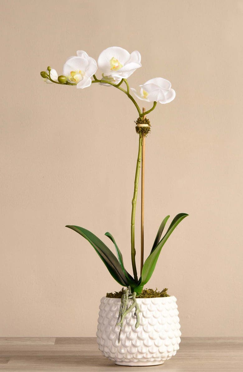 Bloomr Pearl Orchid Planter Decoration, Alternate, color, 