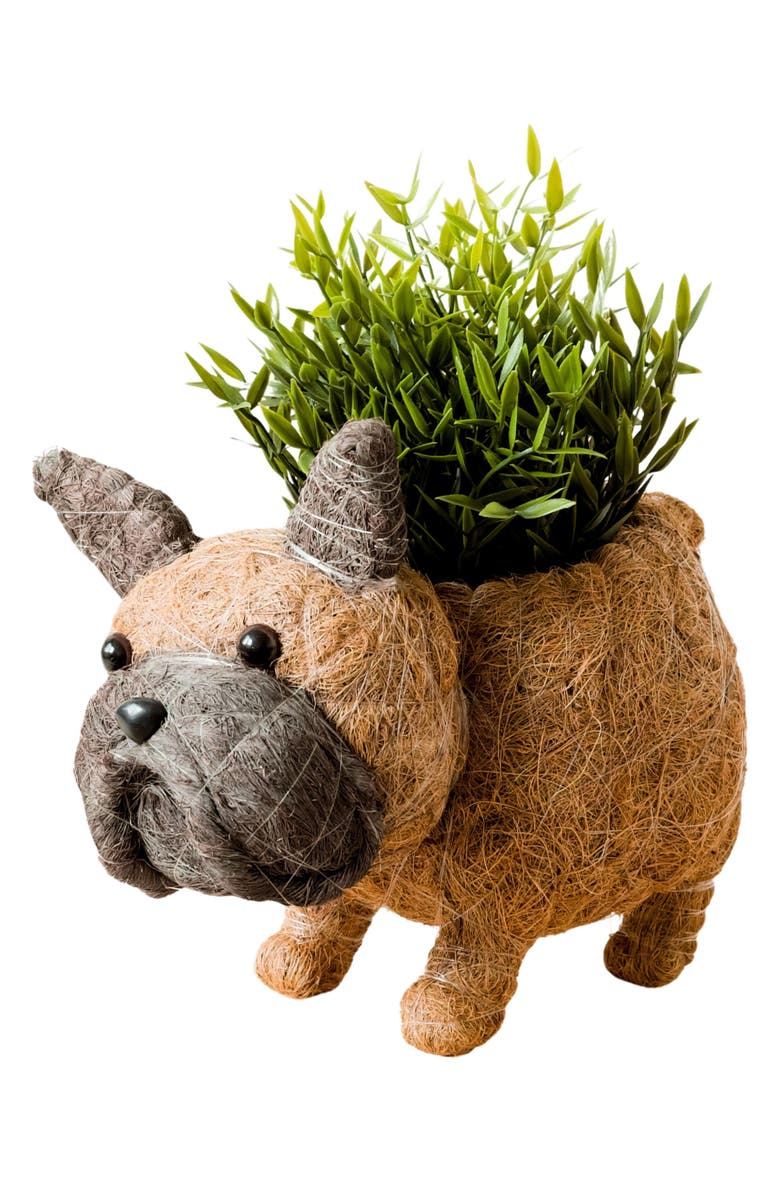 LIKHA French Bulldog Handwoven Planter, Main, color,
