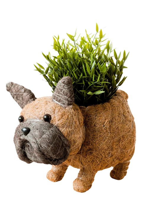 French Bulldog Handwoven Planter