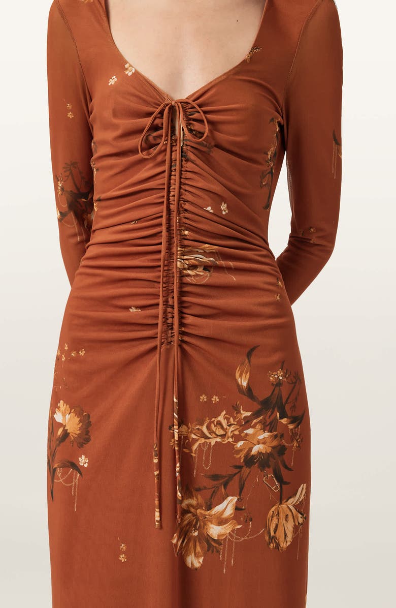 AllSaints Gabby Long Sleeve Mesh Maxi Dress, Alternate, color, Ania Rust Brown