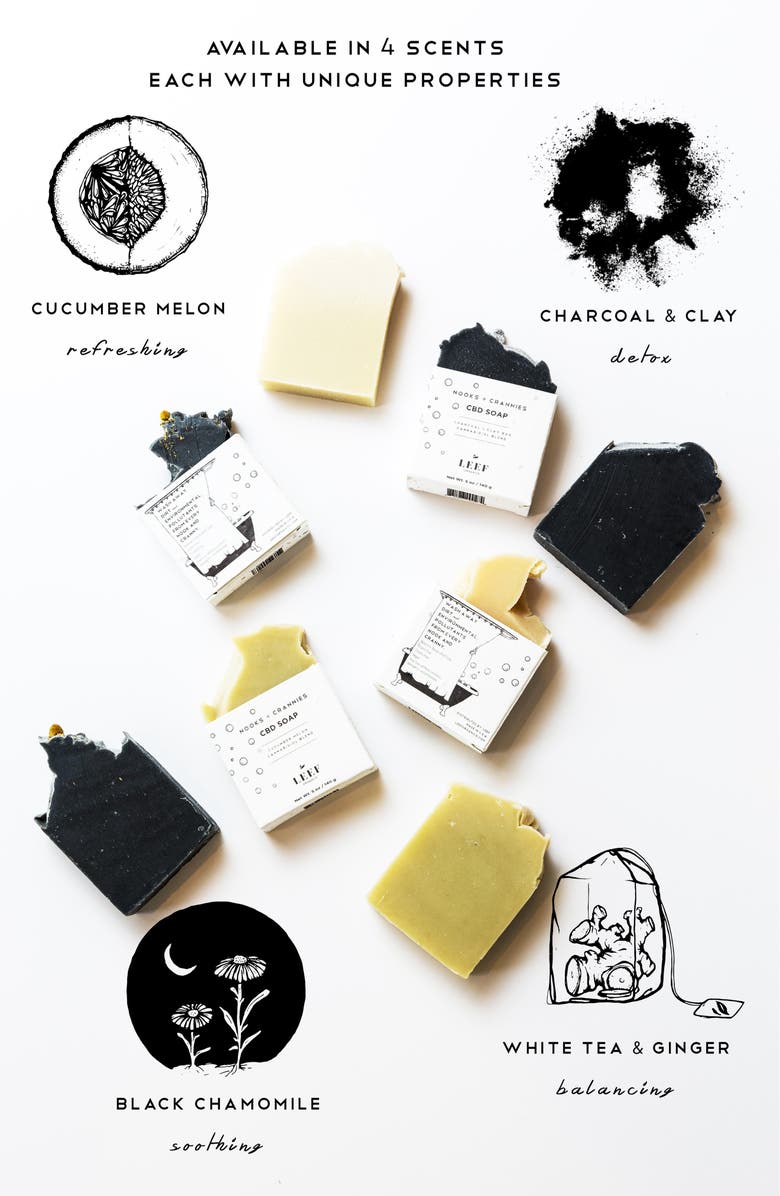 Leef Organics Nooks + Crannies CBD Soap, Alternate, color, Charcoal Clay