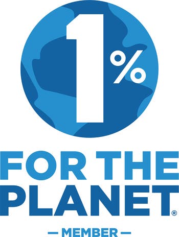 Women's Porsamo Bleu Angelica Oval MOP Dial Topaz Stainless Steel Watch