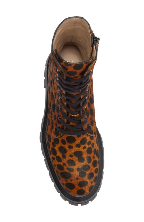 Stuart Weitzman Bedford Sleek Genuine Calf Hair Combat Boot In Brown