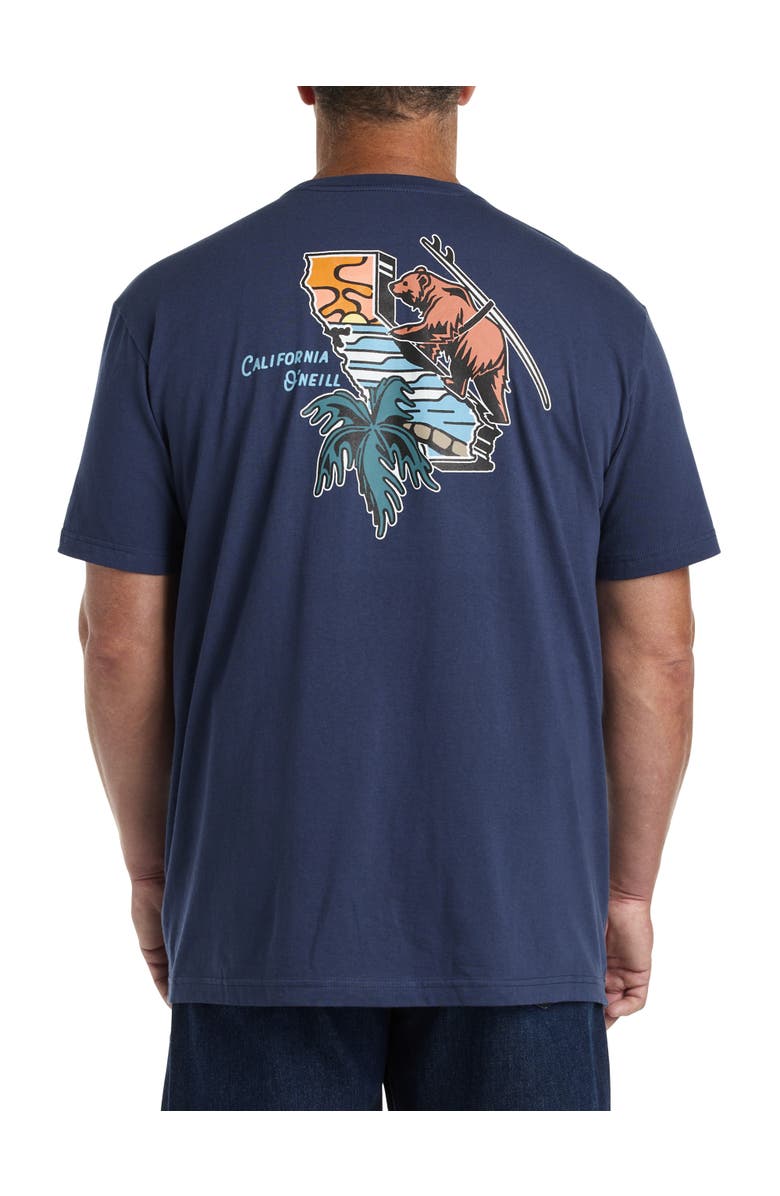 O'Neill Big & Tall Cali Trek Graphic Tee, Alternate, color,