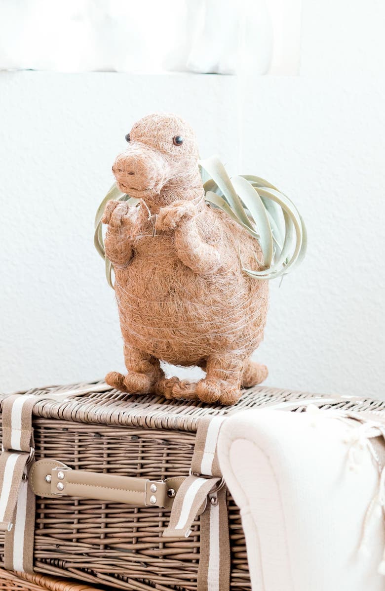 LIKHA Dinosaur Coco Coir Planters, Alternate, color, Brown