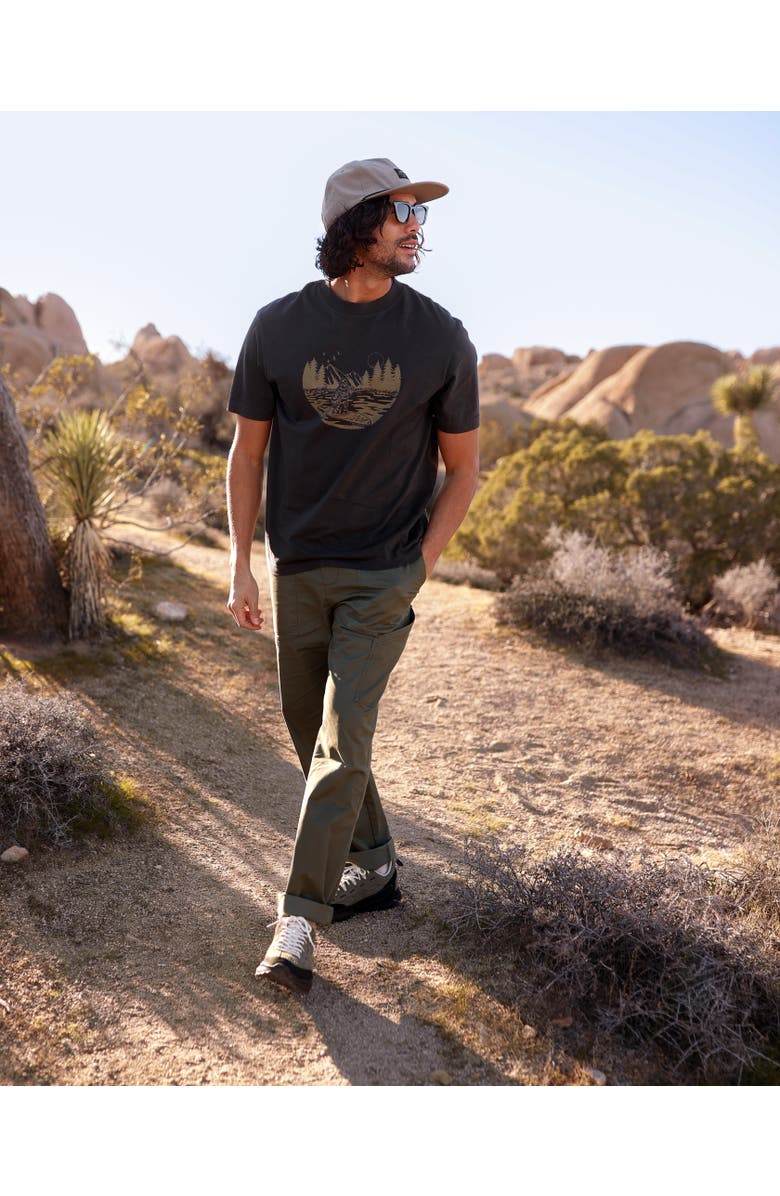 tentree Regenerative Lake Life Portal T-Shirt, Alternate, color, Graphite/Clay