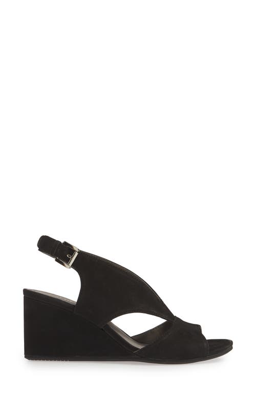 David Tate Harlem Wedge Sandal In Black