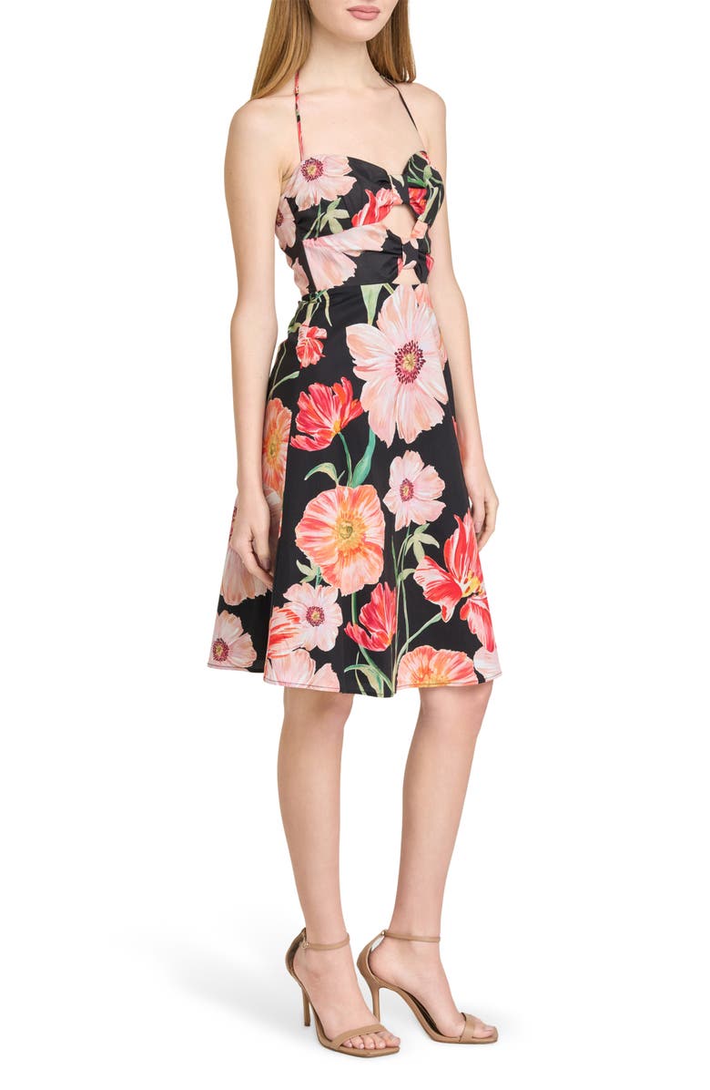 WAYF In Bloom Cutout Detail Halter Neck Stretch Cotton Dress, Alternate, color, Black Poppies