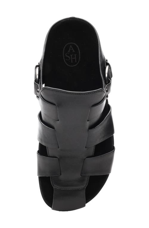 Ash Terry Fisherman Platform Clog In Black