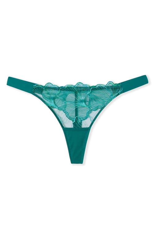 Etam Prelude Embroidered Thong In Green