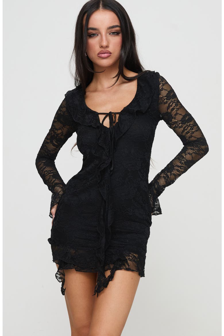 Braun Embroidered Lace Long Sleeve Minidress, Alternate, color, BLACK