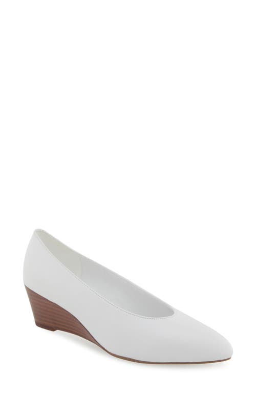 AEROSOLES AEROSOLES CARUZO WEDGE PUMP