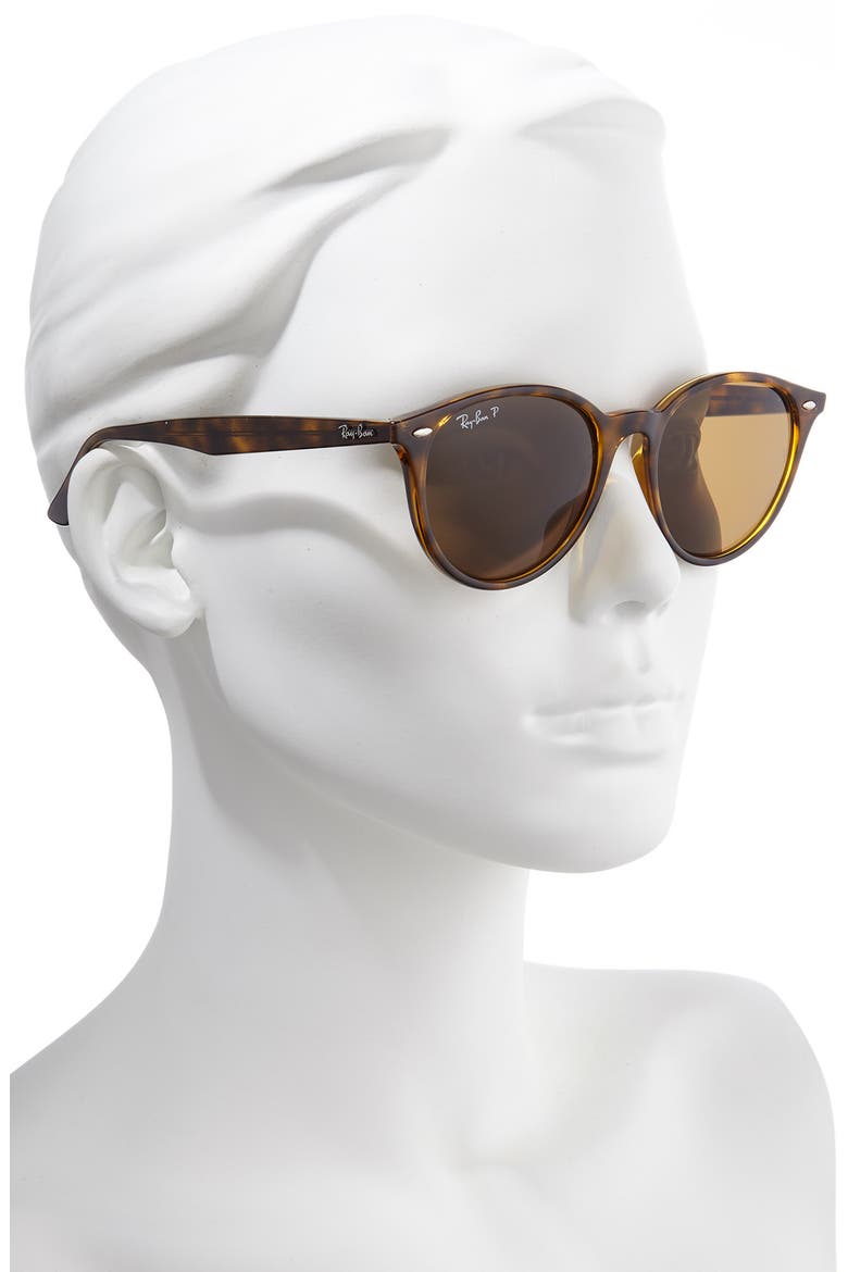Phantos 53mm Polarized Round Sunglasses, Alternate, color, HAVANA/ BROWN SOLID