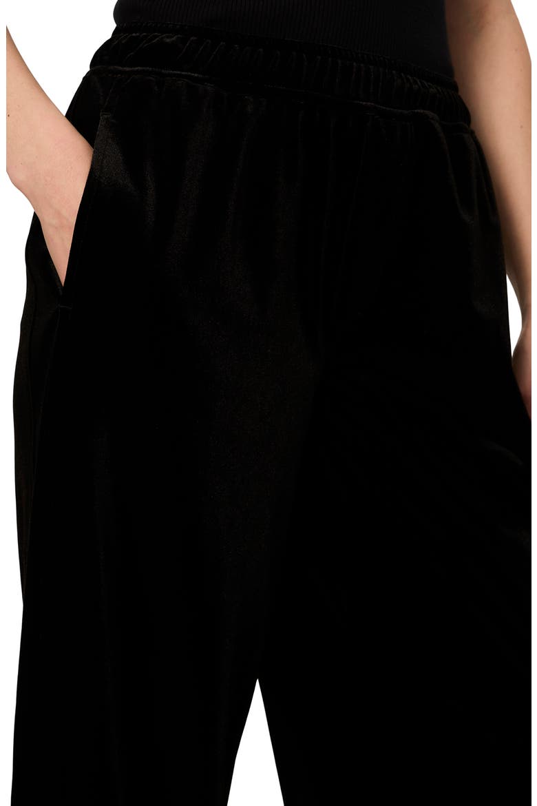 Velvet Micro Balloon Pants, Alternate, color, BLACK