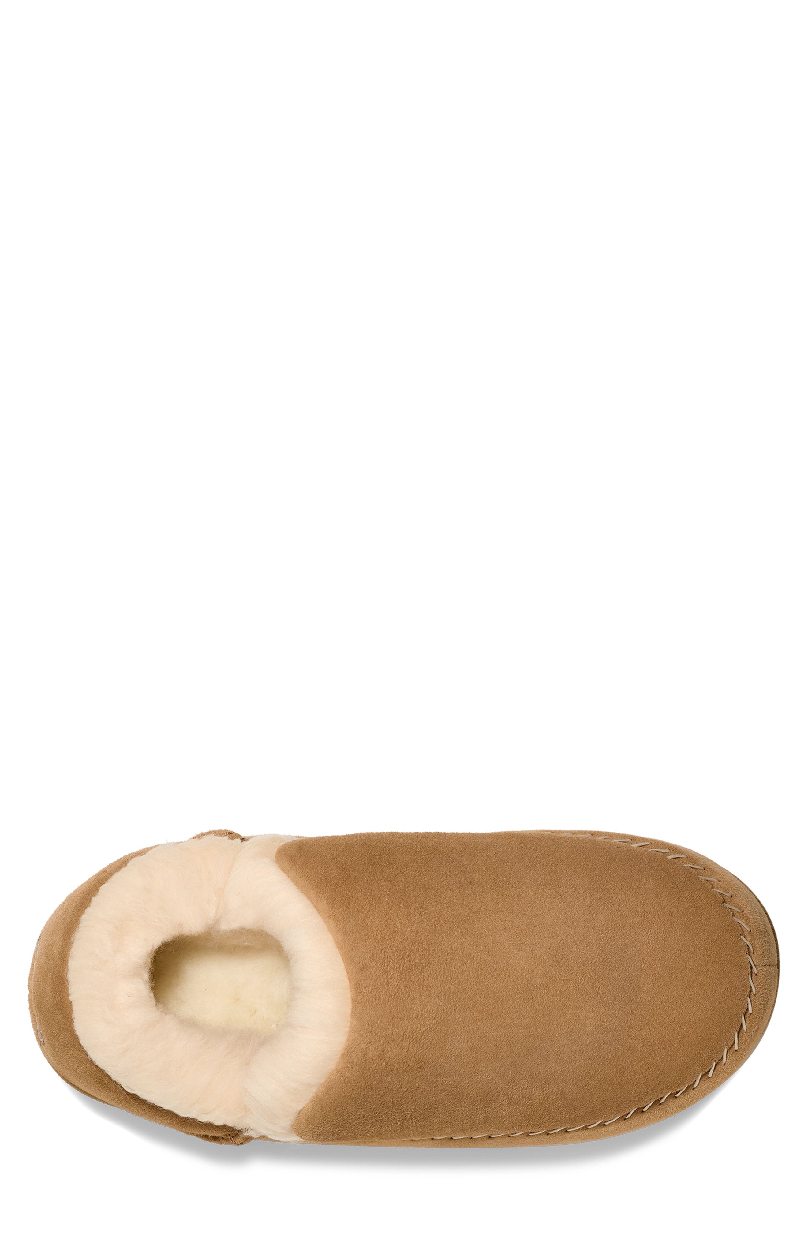 Anders Wool Slipper, Alternate, color, CHESTNUT