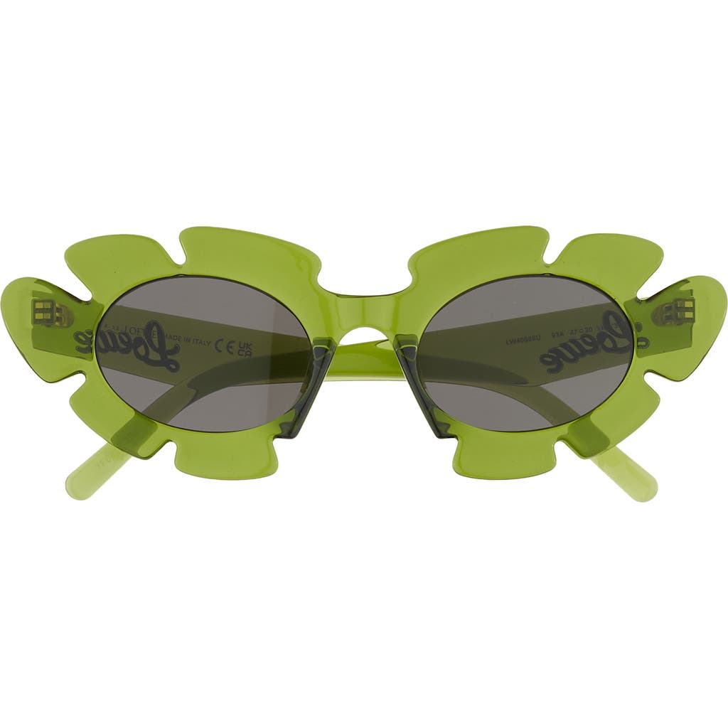 Loewe 47mm Tinted Oval Sunglasses In Green