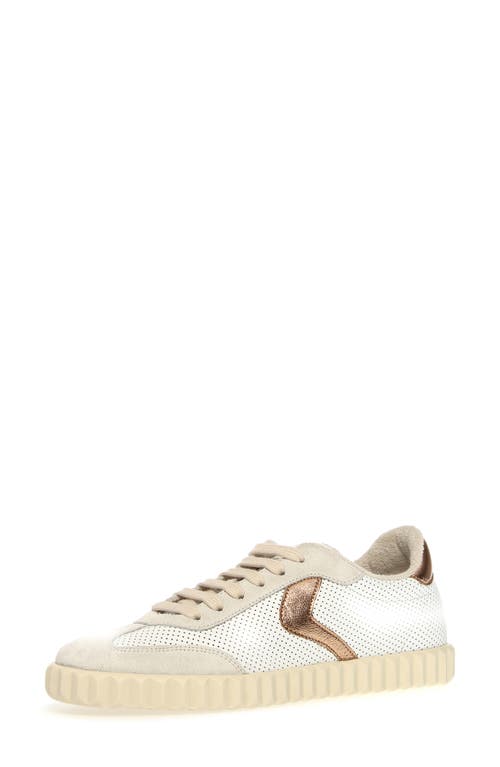 VOILE BLANCHE VOILE BLANCHE INES PERFORATED LOW TOP SNEAKER 