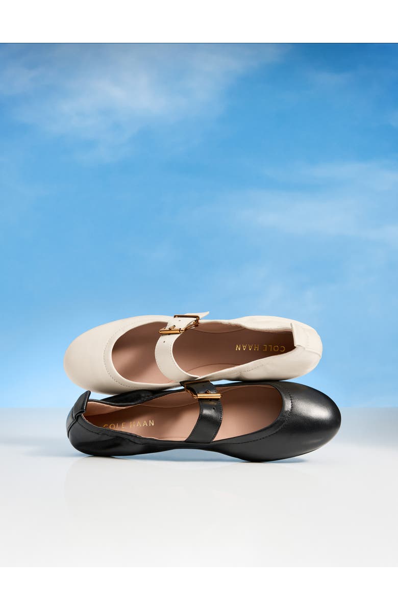 Cole Haan Graclyn Mary Jane Ballet Flat, Alternate, color,
