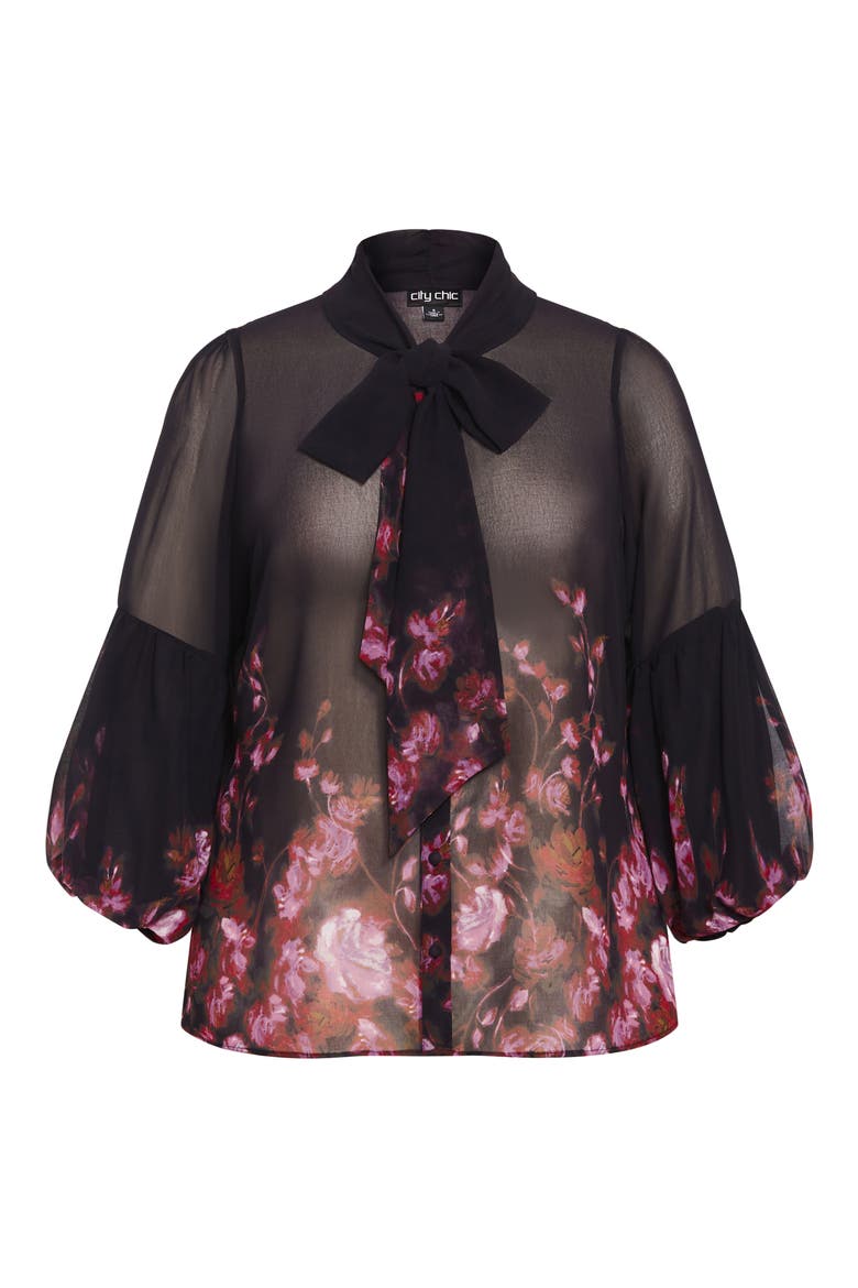 Romance Sheer Button-Up Top, Alternate, color, MODERN ROMANCE