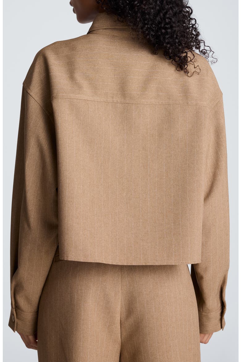 Pinstriped Oversized Cropped Shirt, Alternate, color, PEANUT HEATHER/ OYSTER