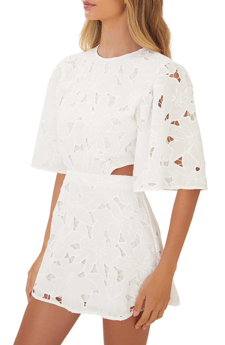 ViX Paula Hermanny Babi Cutout Lace Cover-Up Minidress, Alternate, color, 